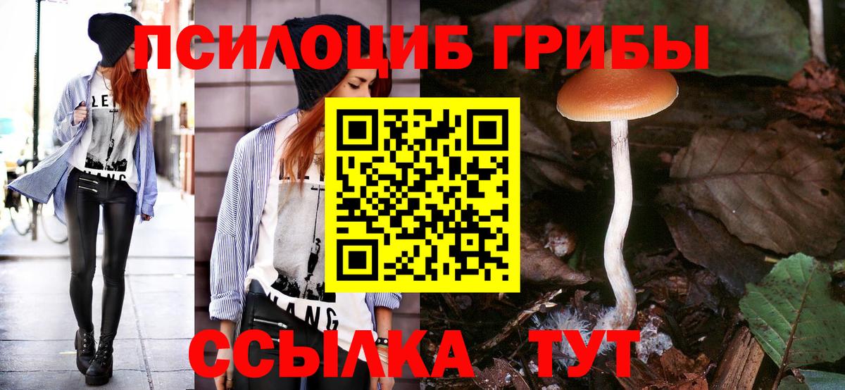 Смоленск  Псилоцибиновые грибы MAGIC MUSHROOMS  Вход с VPN 